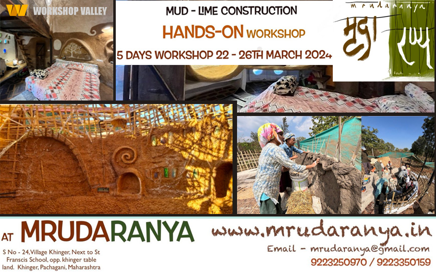 Mud Lime Construction